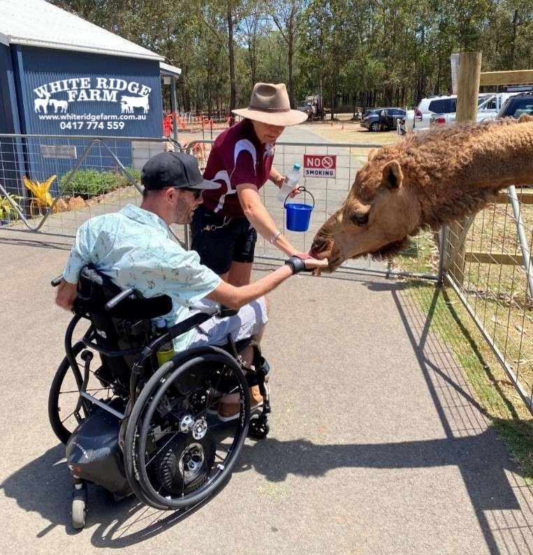 man in wheelchair feeding a horse